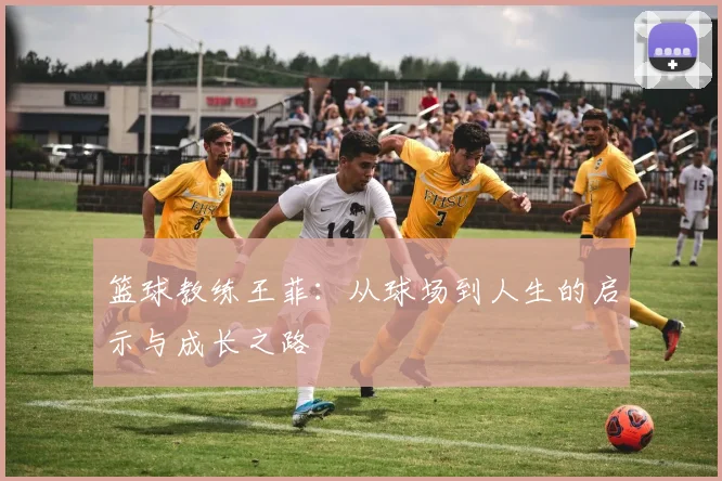 篮球教练王菲：从球场到人生的启示与成长之路