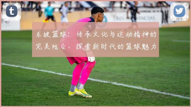 东坡篮球：传承文化与运动精神的完美结合，探索新时代的篮球魅力与发展之路