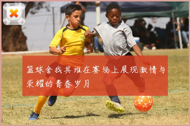 篮球舍我其谁在赛场上展现激情与荣耀的青春岁月