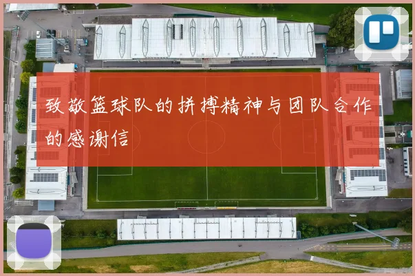 致敬篮球队的拼搏精神与团队合作的感谢信